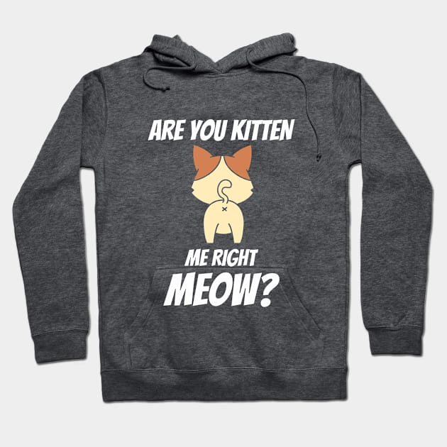 Are You Kitten Me Right Meow Hoodie by Pink Panda Creations